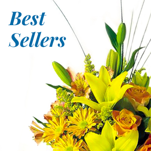 Best Sellers