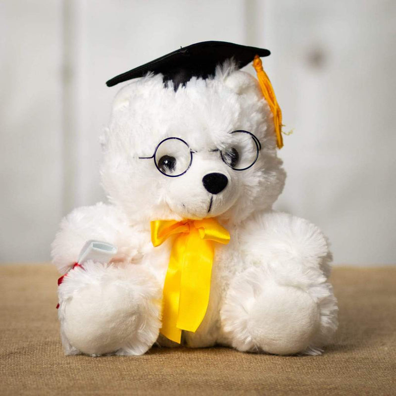 Graduation Bear