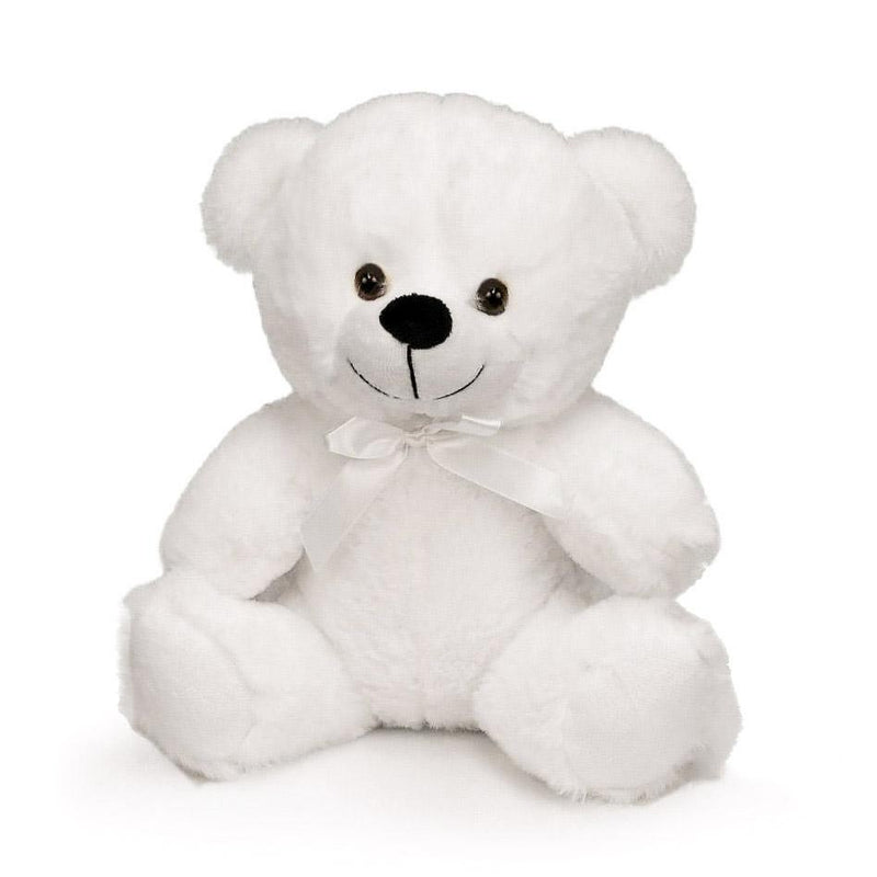 Flower Delivery Florist Same Day Naples White Plush Bear Sm